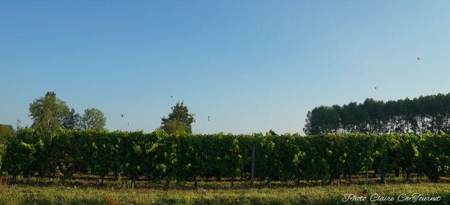 vols dim matin c  (175)