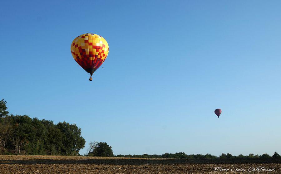 vols dim matin c  (179)