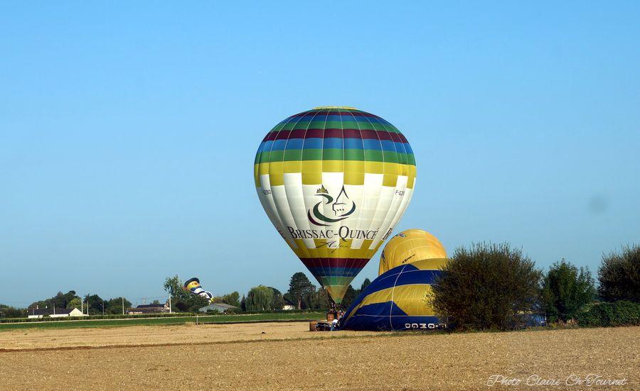 vols dim matin c  (219)