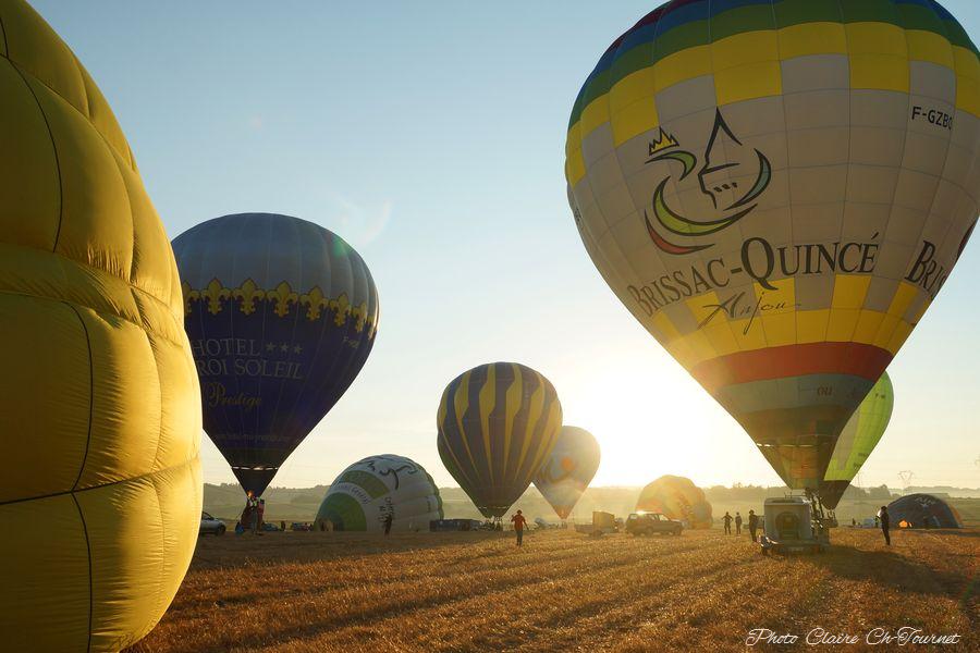 vols dim matin c  (87)