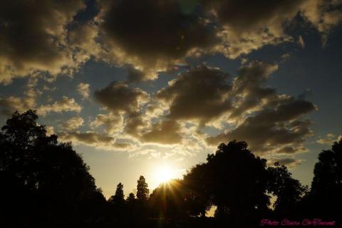 ven soir vols c (253)