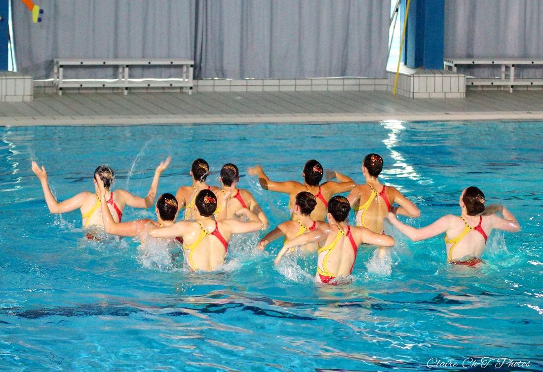 Gala-NSyn-P1-c-265