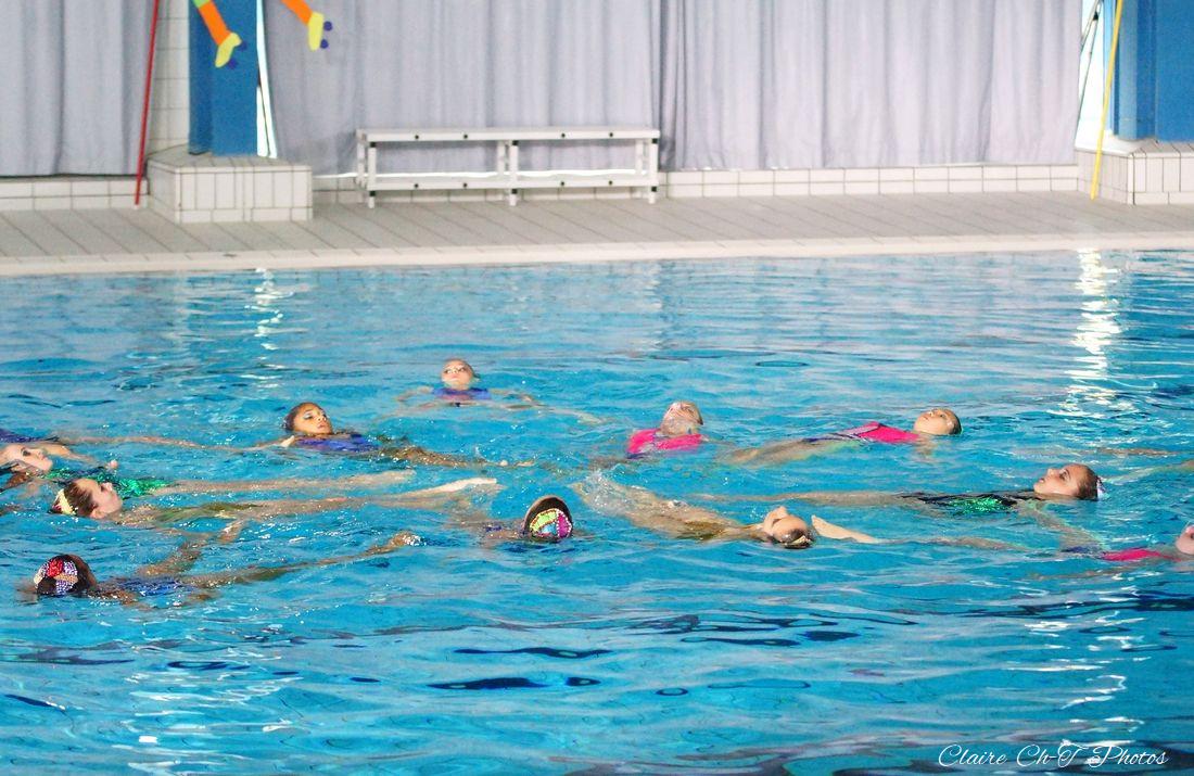 Gala-NSyn-P1-c-56