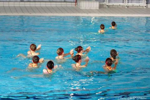 Gala-NSyn-P1-c-197