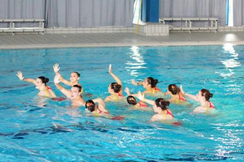 Gala-NSyn-P1-c-264