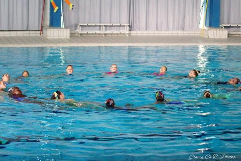 Gala-NSyn-P1-c-55