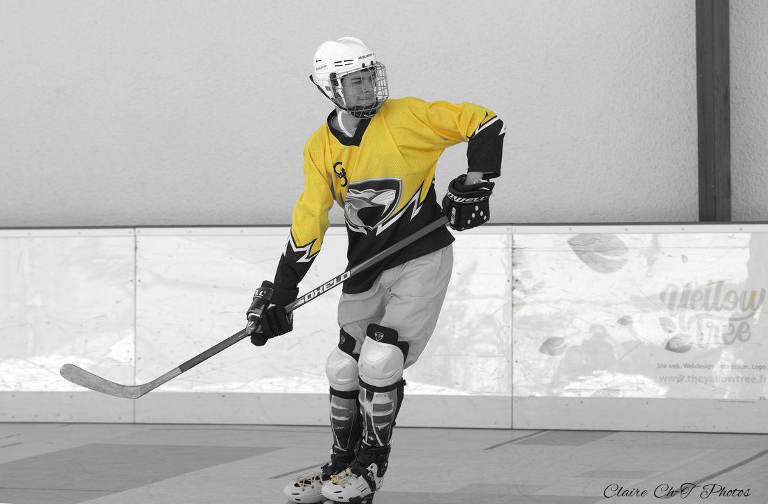 HCF-sam-317