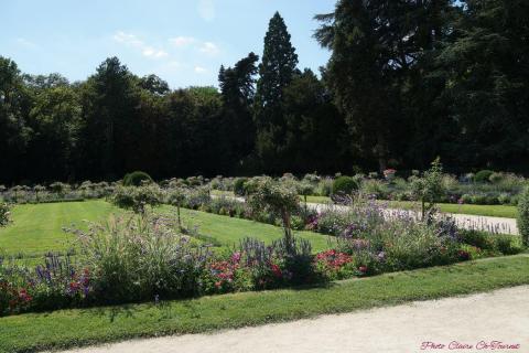 Jardin Catherine de Médicis (33)_resultat
