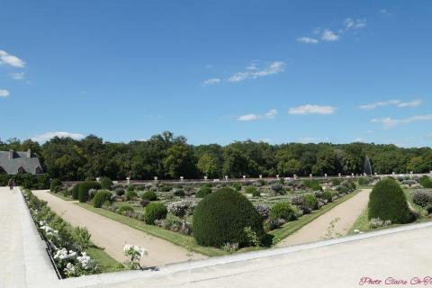 Jardin Diane de Poitiers (17)_resultat