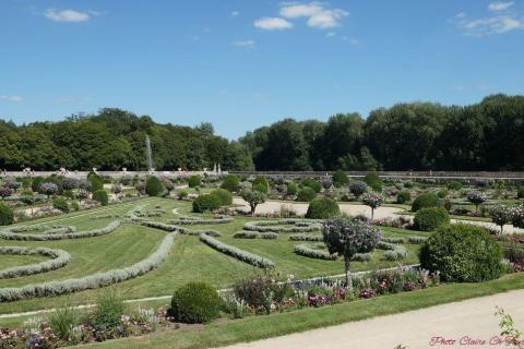 Jardin Diane de Poitiers (8)_resultat