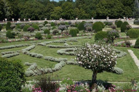 Jardin Diane de Poitiers (9)_resultat