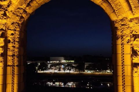 Chateau-Angers-20