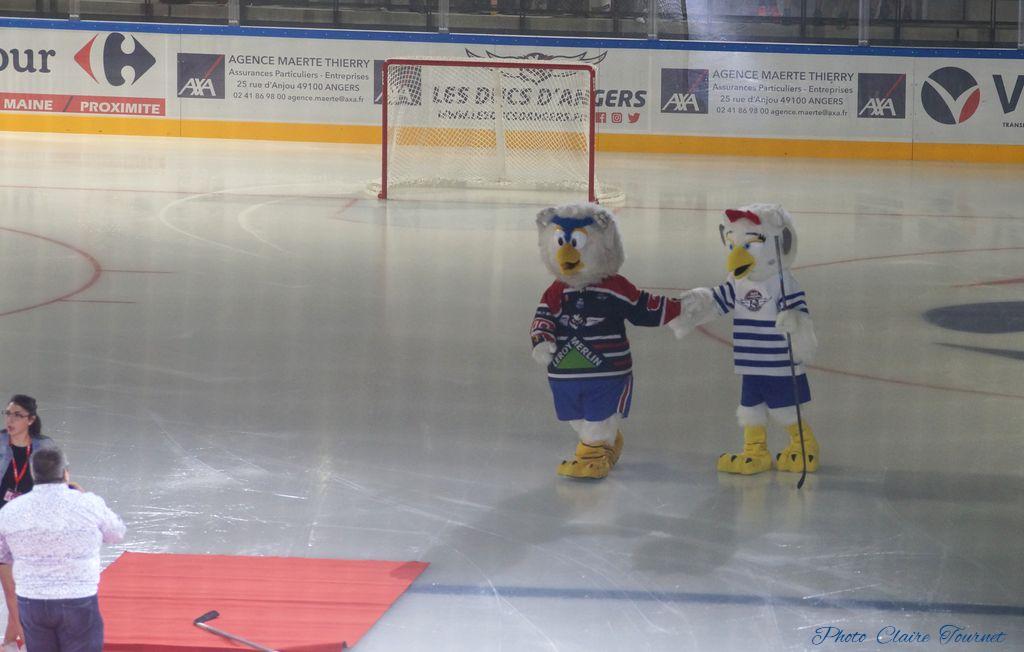 Match-Glace-Angers-Ducs-vs-Rouens-c-12