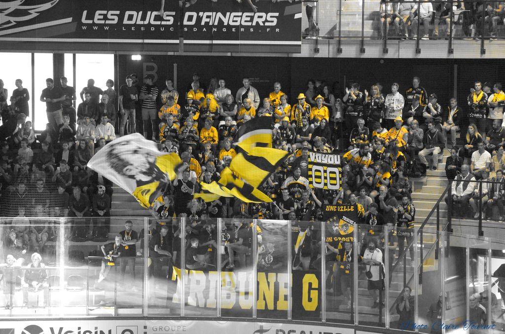 Match-Glace-Angers-Ducs-vs-Rouens-c-42