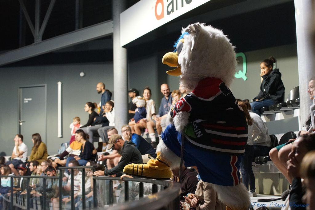 Match-Glace-Angers-Ducs-vs-Rouens-c-74