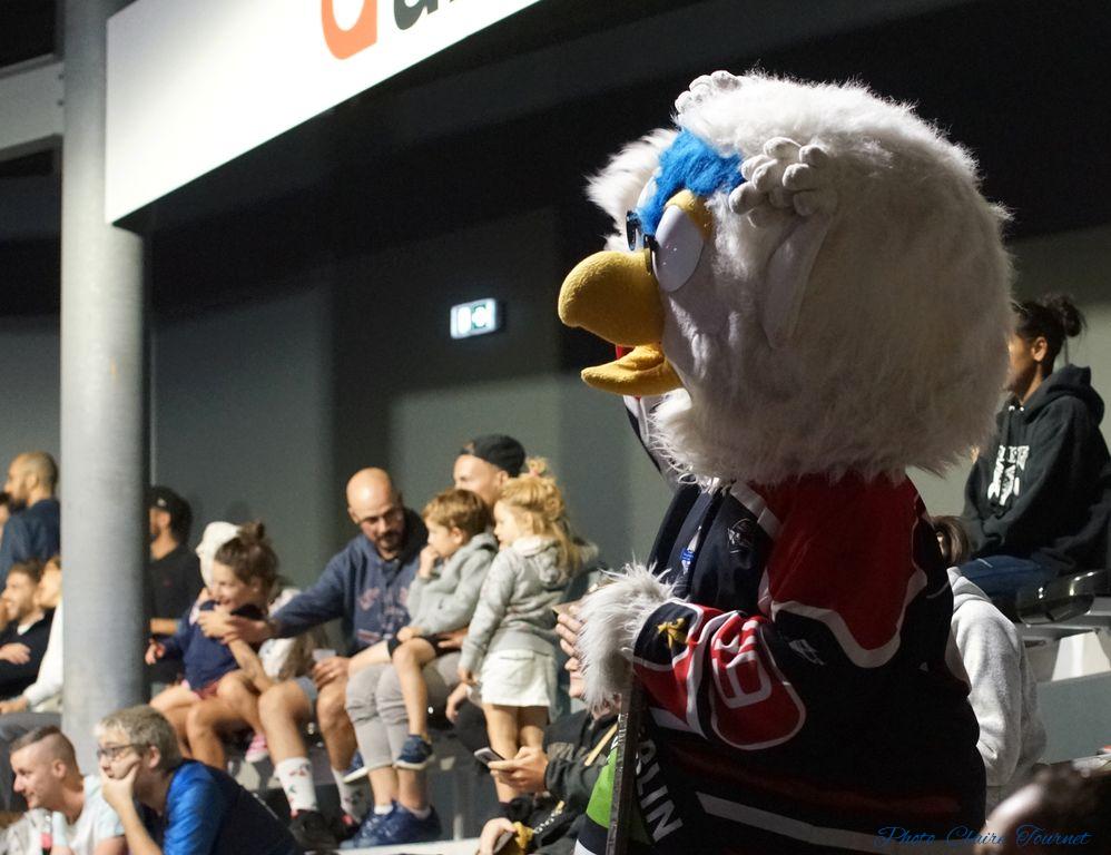 Match-Glace-Angers-Ducs-vs-Rouens-c-75