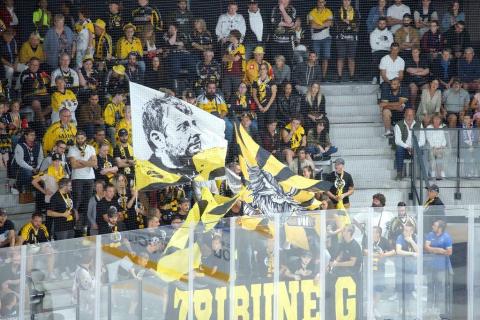 Match-Glace-Angers-Ducs-vs-Rouens-c-151