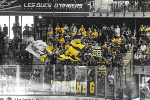 Match-Glace-Angers-Ducs-vs-Rouens-c-42