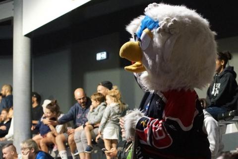 Match-Glace-Angers-Ducs-vs-Rouens-c-75
