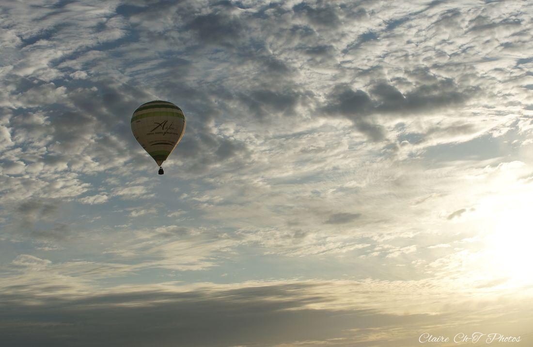 Montg.-90