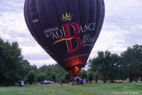 Montg.-30