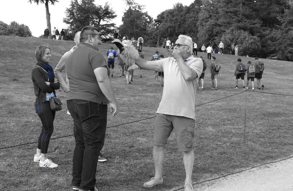 montgolfiade 2019 Vendredi soir c  (148)