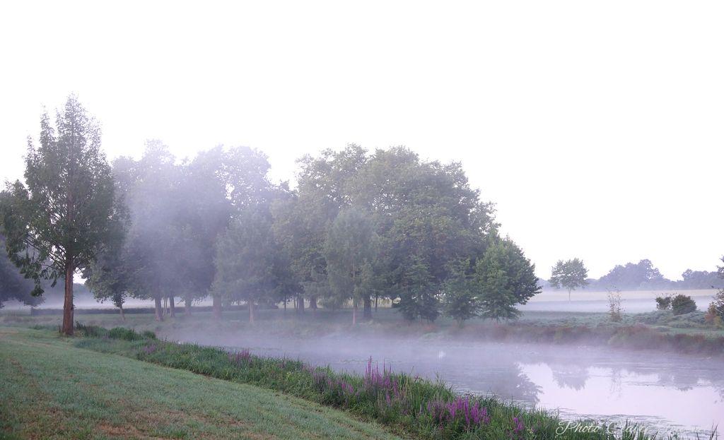 Montgolfiade 2019 Brissac, Lundi matin c  (12)