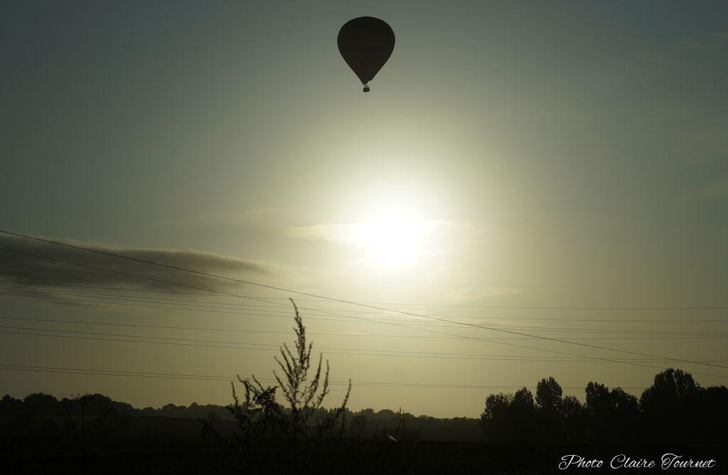 Montgolfiade 2019 Brissac, Lundi matin c  (230)