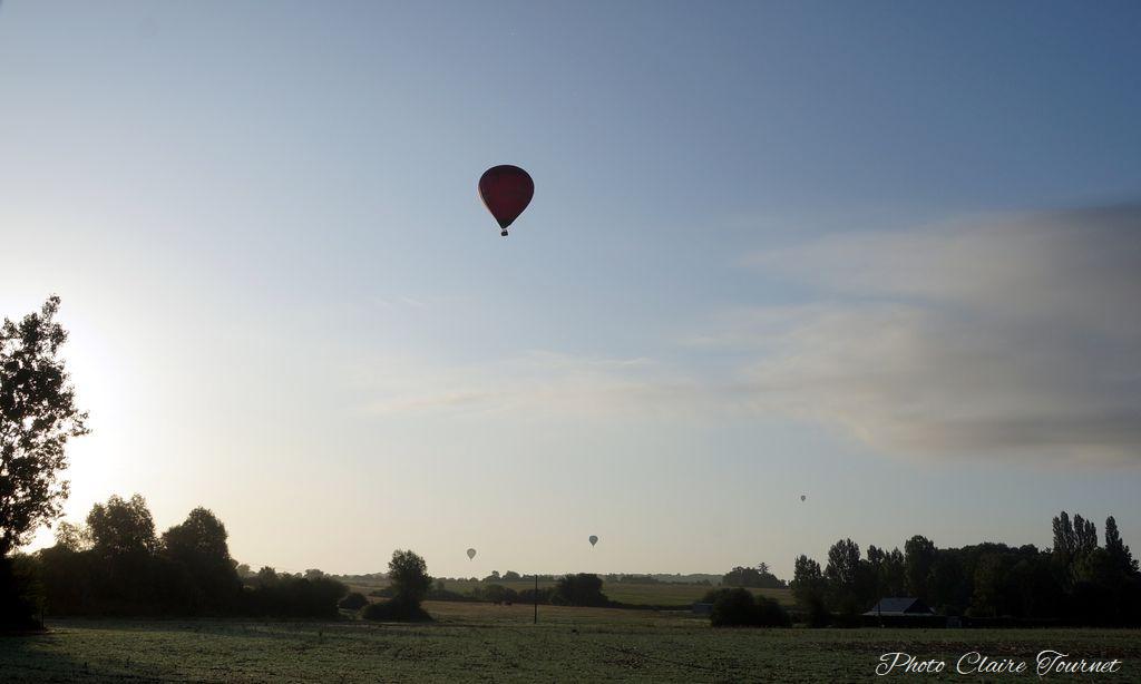 Montgolfiade 2019 Brissac, Lundi matin c  (231)