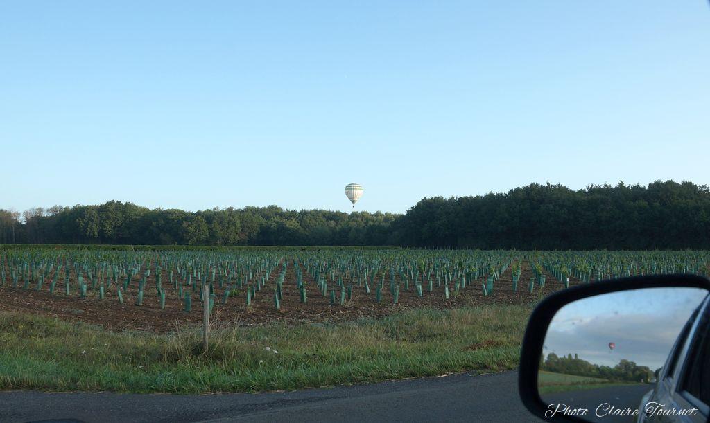 Montgolfiade 2019 Brissac, Lundi matin c  (234)