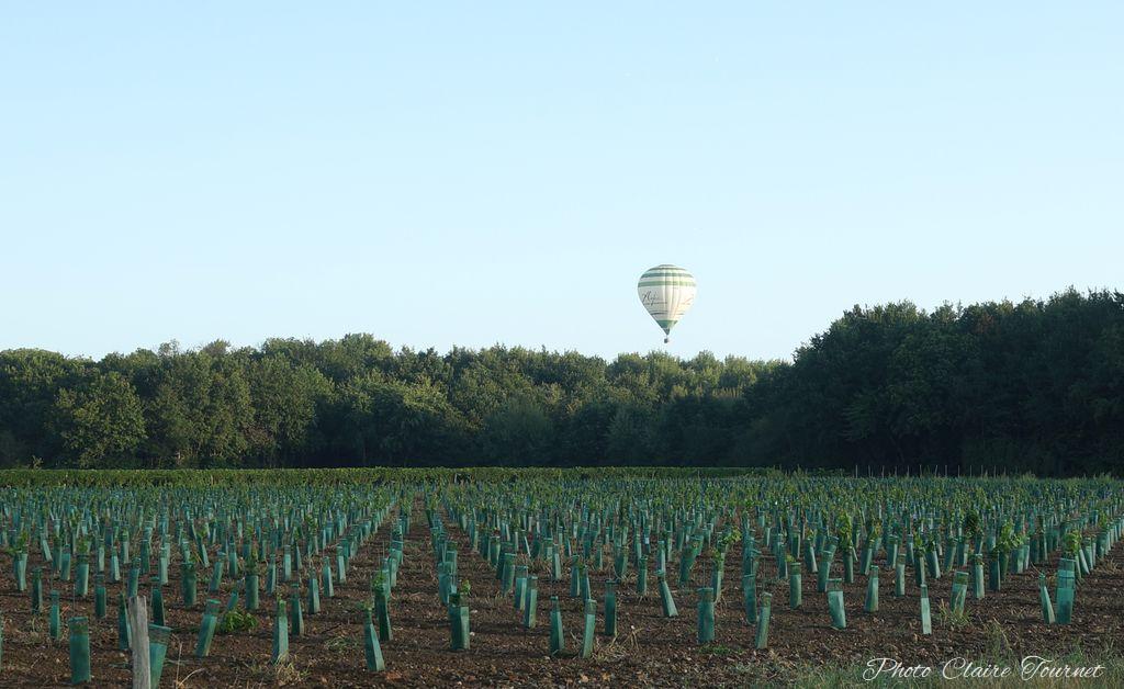 Montgolfiade 2019 Brissac, Lundi matin c  (235)