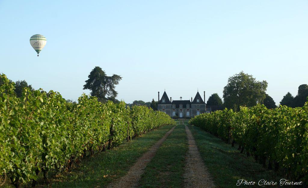 Montgolfiade 2019 Brissac, Lundi matin c  (237)