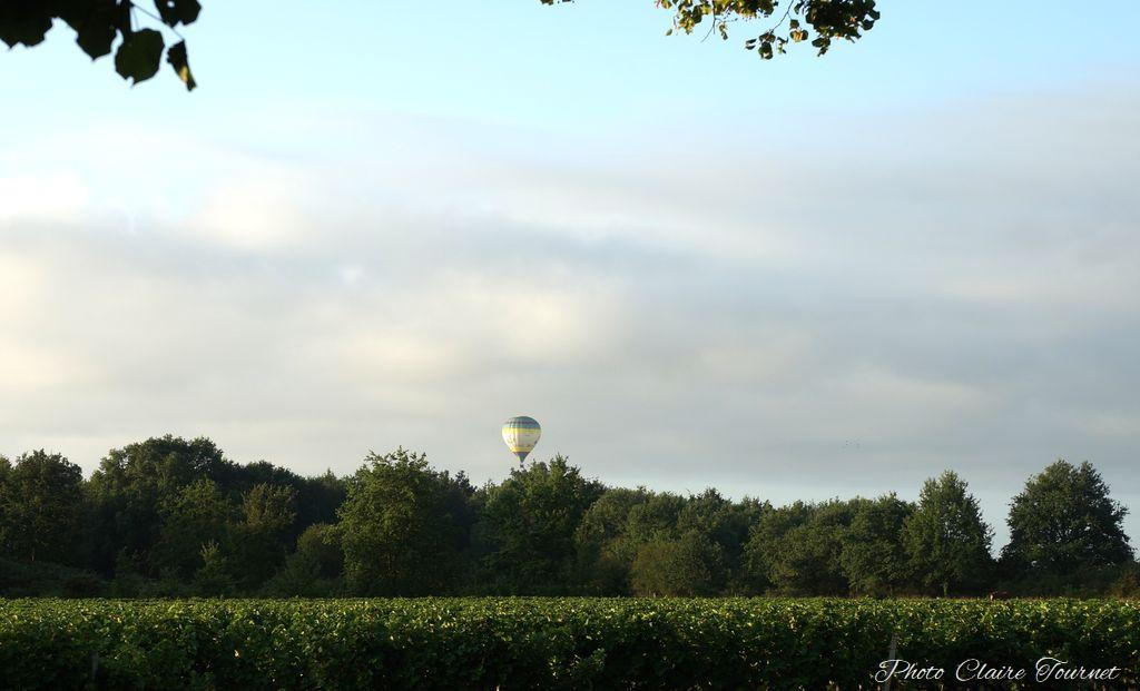 Montgolfiade 2019 Brissac, Lundi matin c  (239)