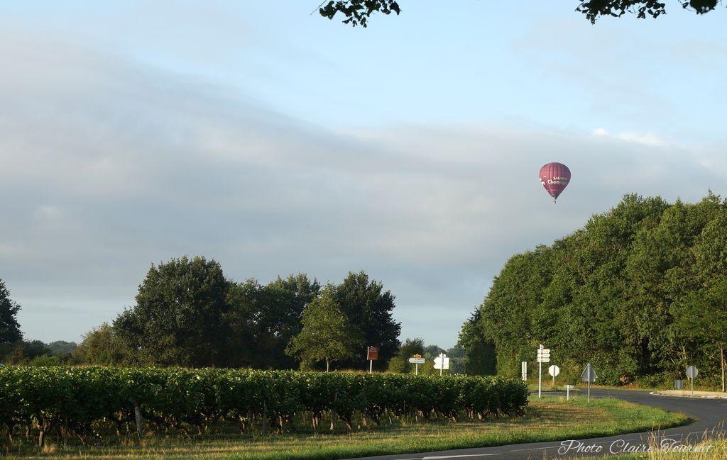 Montgolfiade 2019 Brissac, Lundi matin c  (240)