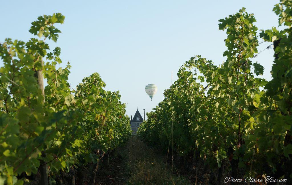 Montgolfiade 2019 Brissac, Lundi matin c  (241)