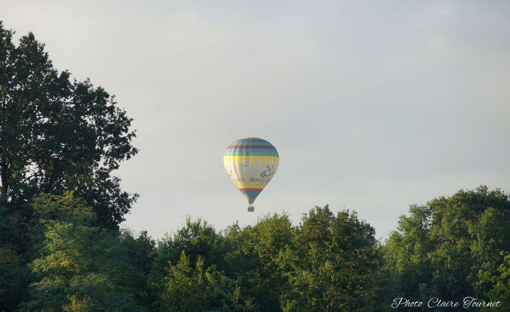 Montgolfiade 2019 Brissac, Lundi matin c  (243)