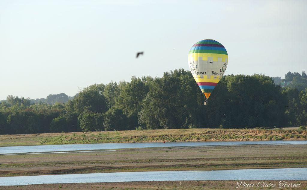 Montgolfiade 2019 Brissac, Lundi matin c  (245)