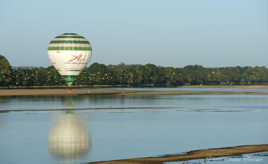 Montgolfiade 2019 Brissac, Lundi matin c  (254)