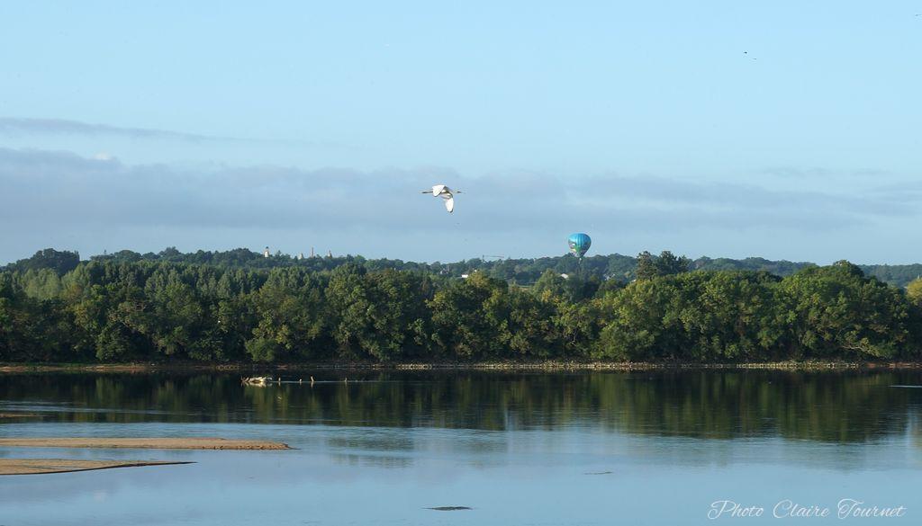 Montgolfiade 2019 Brissac, Lundi matin c  (271)