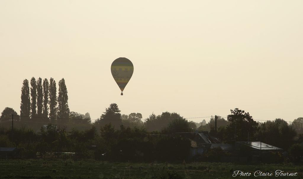 Montgolfiade 2019 Brissac, Lundi matin c  (275)