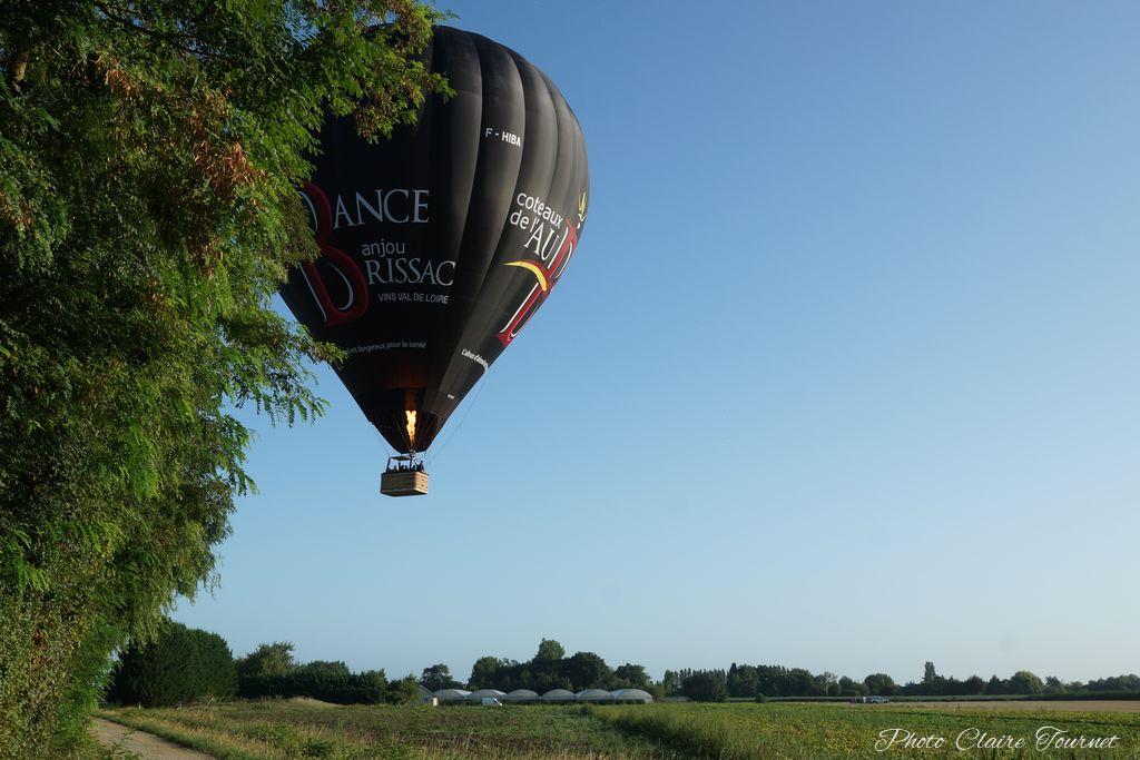 Montgolfiade 2019 Brissac, Lundi matin c  (300)