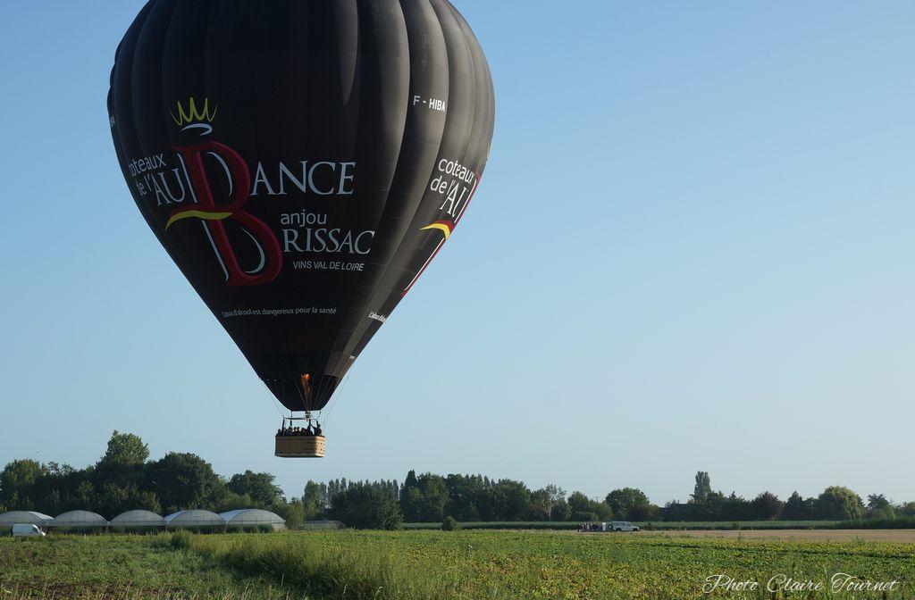 Montgolfiade 2019 Brissac, Lundi matin c  (302)