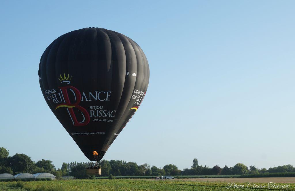 Montgolfiade 2019 Brissac, Lundi matin c  (303)