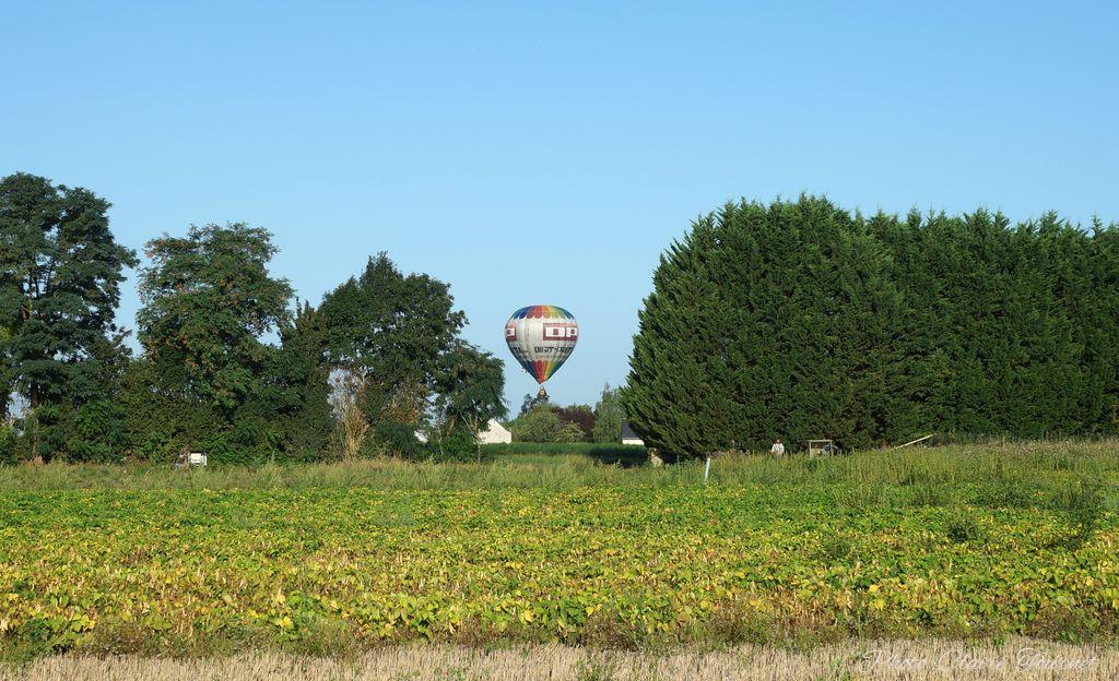 Montgolfiade 2019 Brissac, Lundi matin c  (345)
