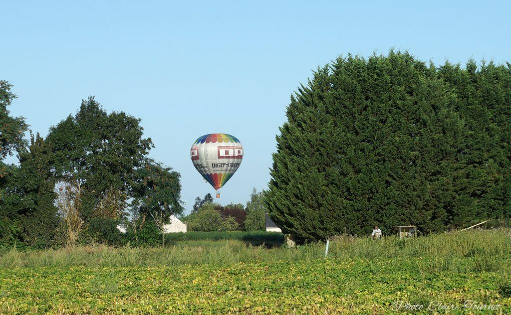 Montgolfiade 2019 Brissac, Lundi matin c  (346)