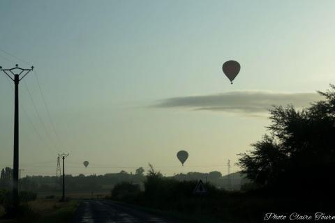 Montgolfiade 2019 Brissac, Lundi matin c  (229)
