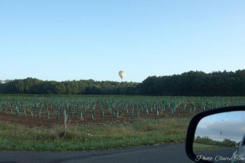 Montgolfiade 2019 Brissac, Lundi matin c  (234)