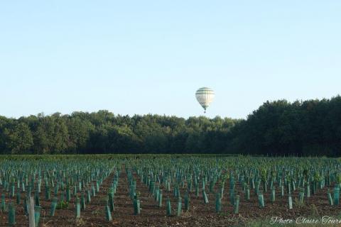 Montgolfiade 2019 Brissac, Lundi matin c  (235)