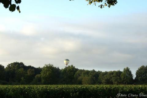 Montgolfiade 2019 Brissac, Lundi matin c  (239)