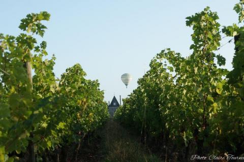 Montgolfiade 2019 Brissac, Lundi matin c  (241)